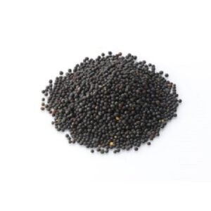 Canola Seed