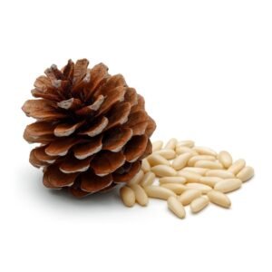 Pine Nuts